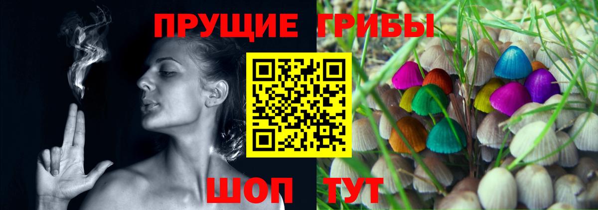 Галлюциногенные грибы прущие грибы  Вход с VPN  Белогорск 